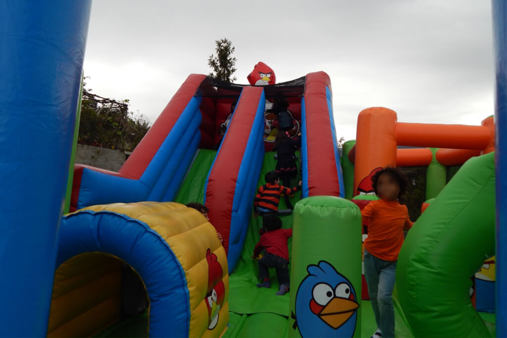 Insuflável Angry Birds